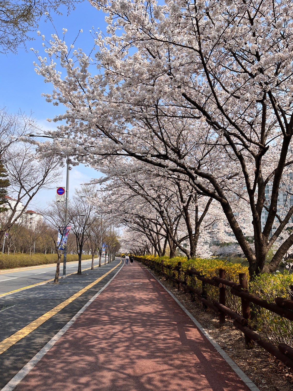 가사, 아이돌봄 꾸준히 도와주실 분을 구합니다. 공고 썸네일