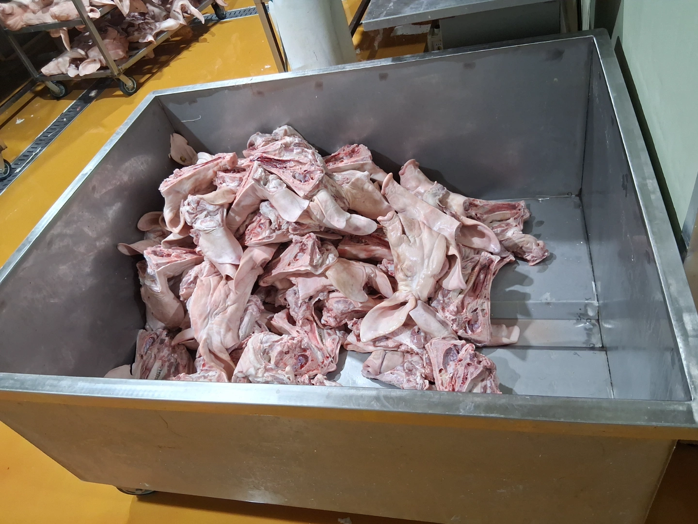 육류가공 부산물 초보가능