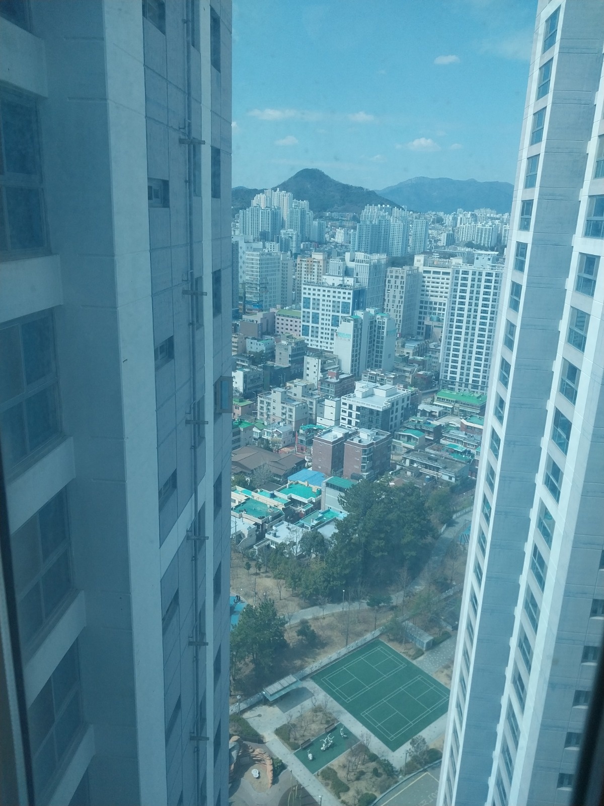 과일야채 진열 판매 용호동 공고 썸네일