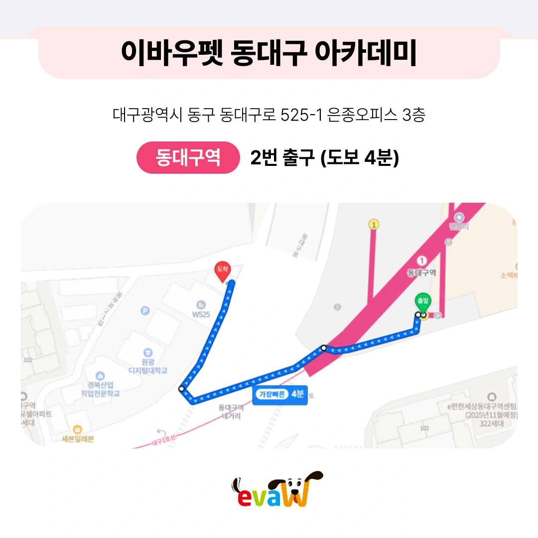 이바우펫 애견미용학원 홍보직 아르바이트 채용공고