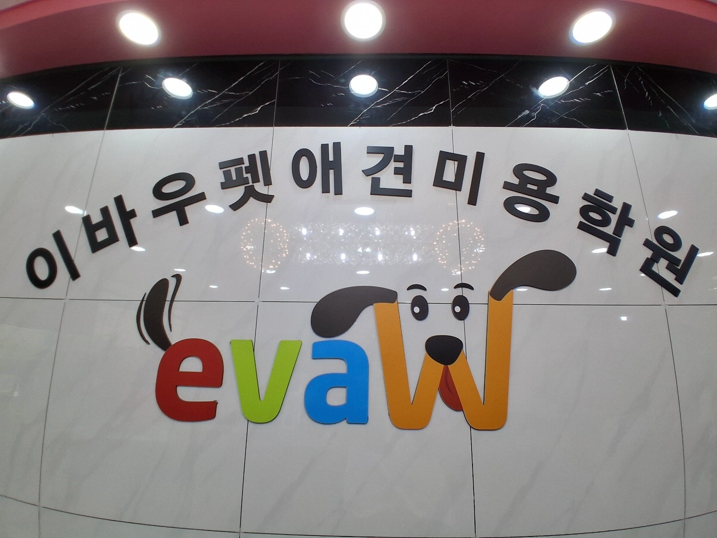 동대구 이바우펫애견미용학원 상담 및 홍보 팀장 구인
