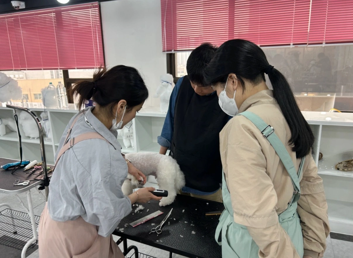 동대구점 이바우펫 주말반 강사님 구인합니다
