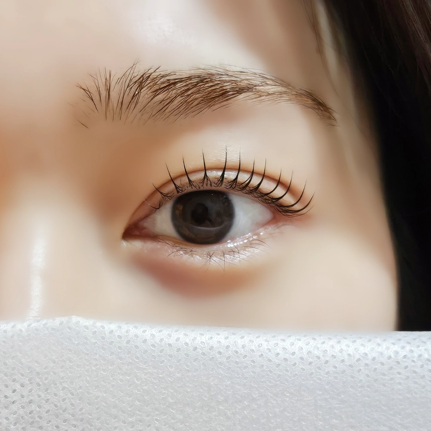 속눈썹펌 모델 모집
