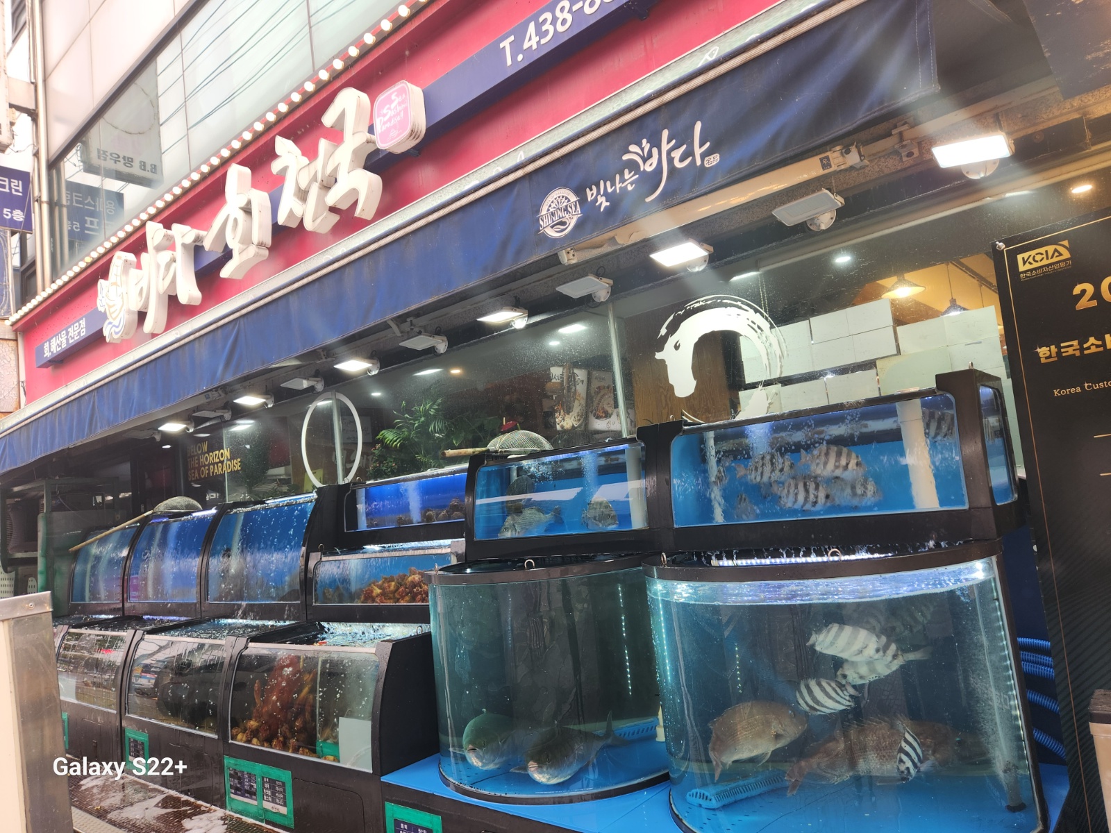 오전 알바구합니다 공고 썸네일