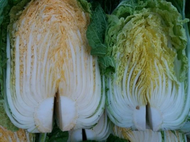 김치 재료 식자재 손질 및 잡일(초보자 가능) 공고 썸네일