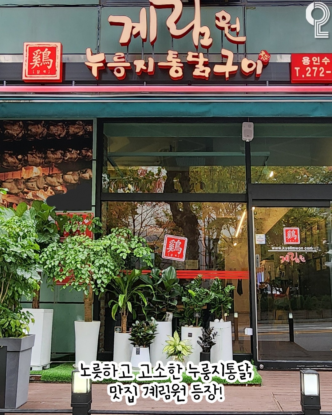 [계림원]누룽지통닭 (금,토요일)홀 알바 모집 공고 썸네일