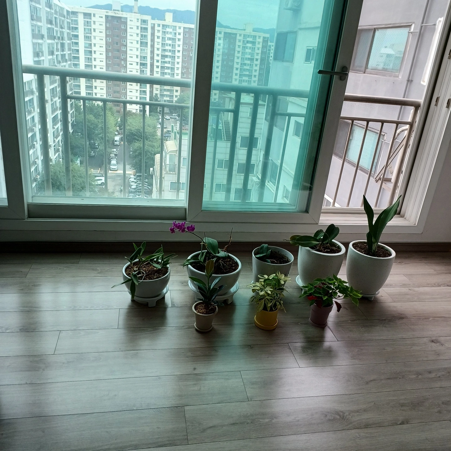 32평형 아파트 청소 도와 주실분 구합니다!!