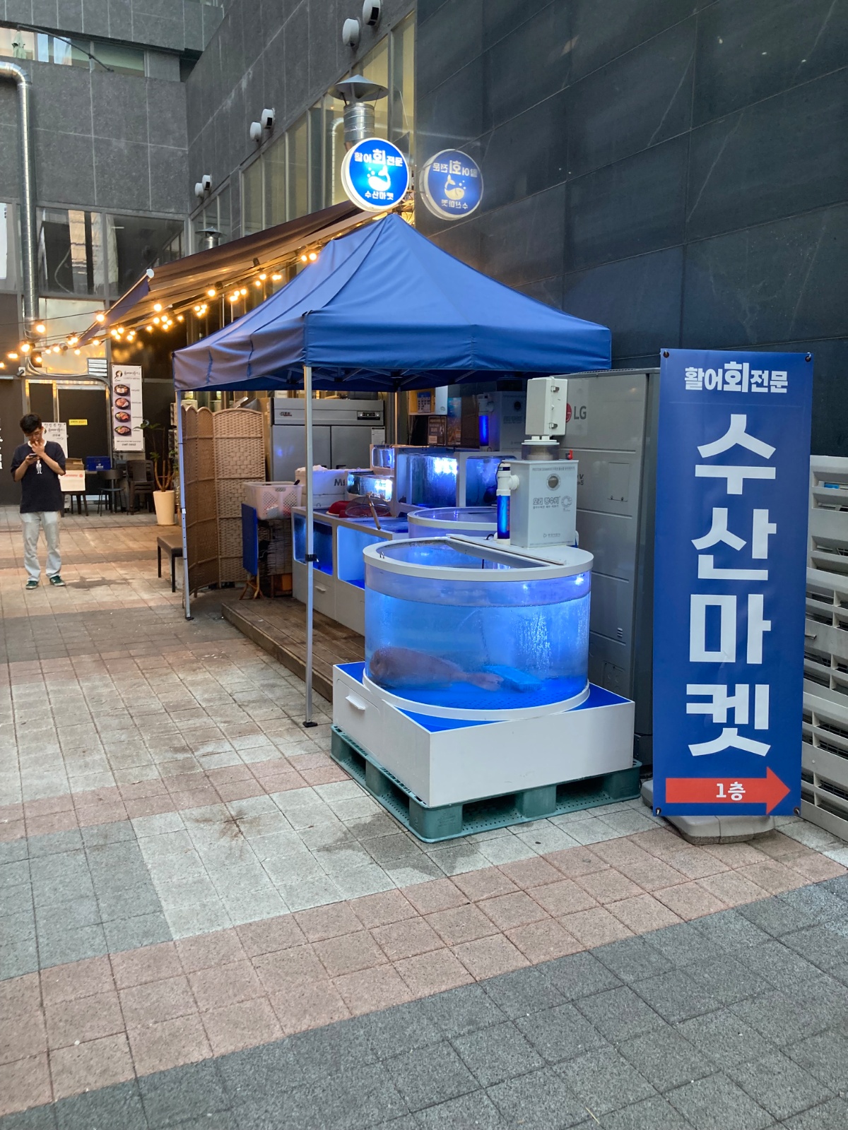 마곡역 횟집 일 하실분 구합니다 공고 썸네일