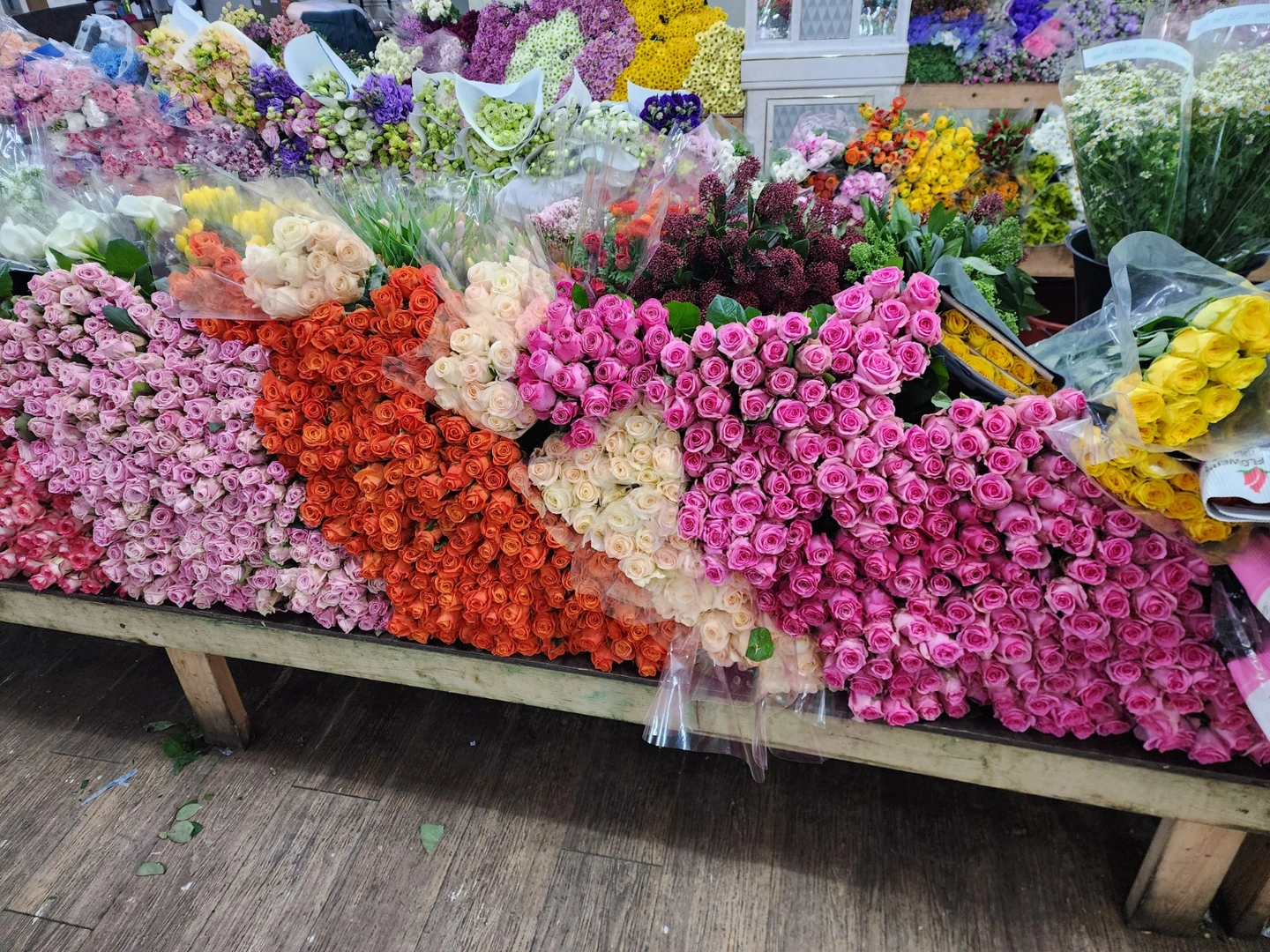 꽃시장에 함게 하실분 찾습니다
