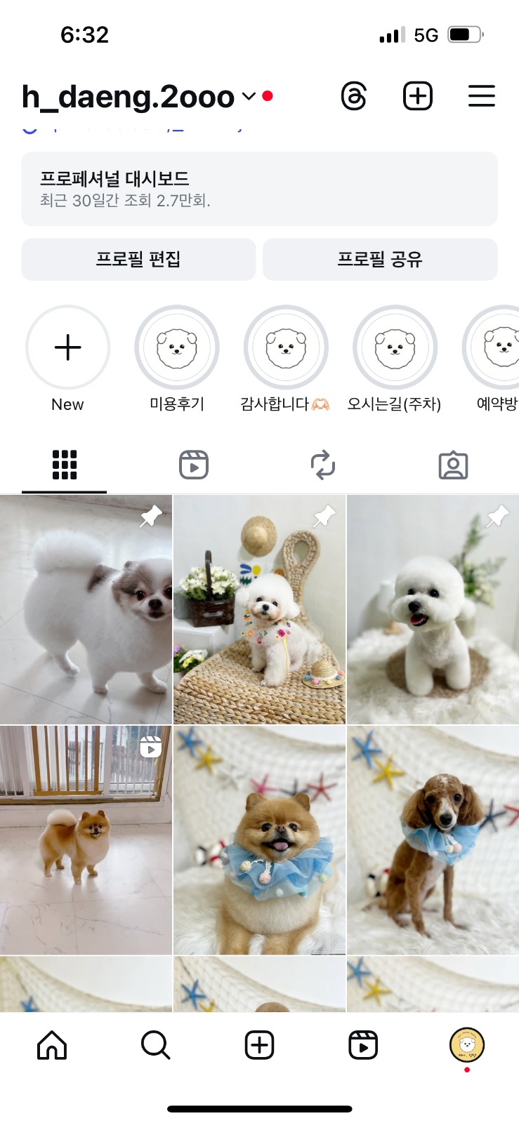 애견미용사 경력직 공고 썸네일