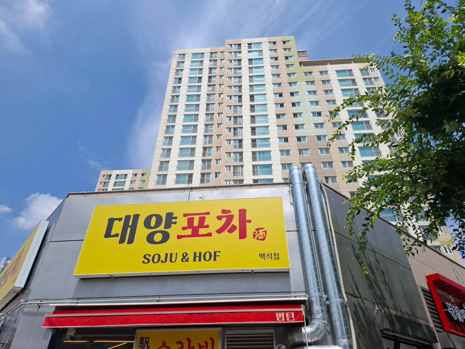 백석동 대양포차에서 같이 일하실분 구해요 공고 썸네일
