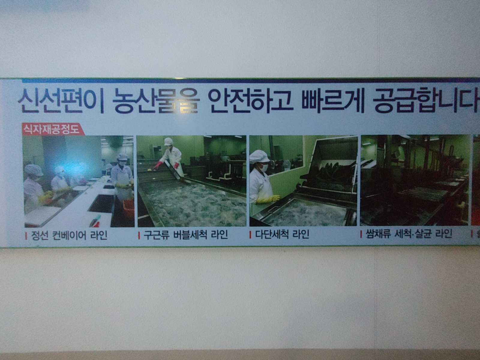 수완지구 KS병원 근처 식품공장 야채세척/손질 직원모집 공고 썸네일