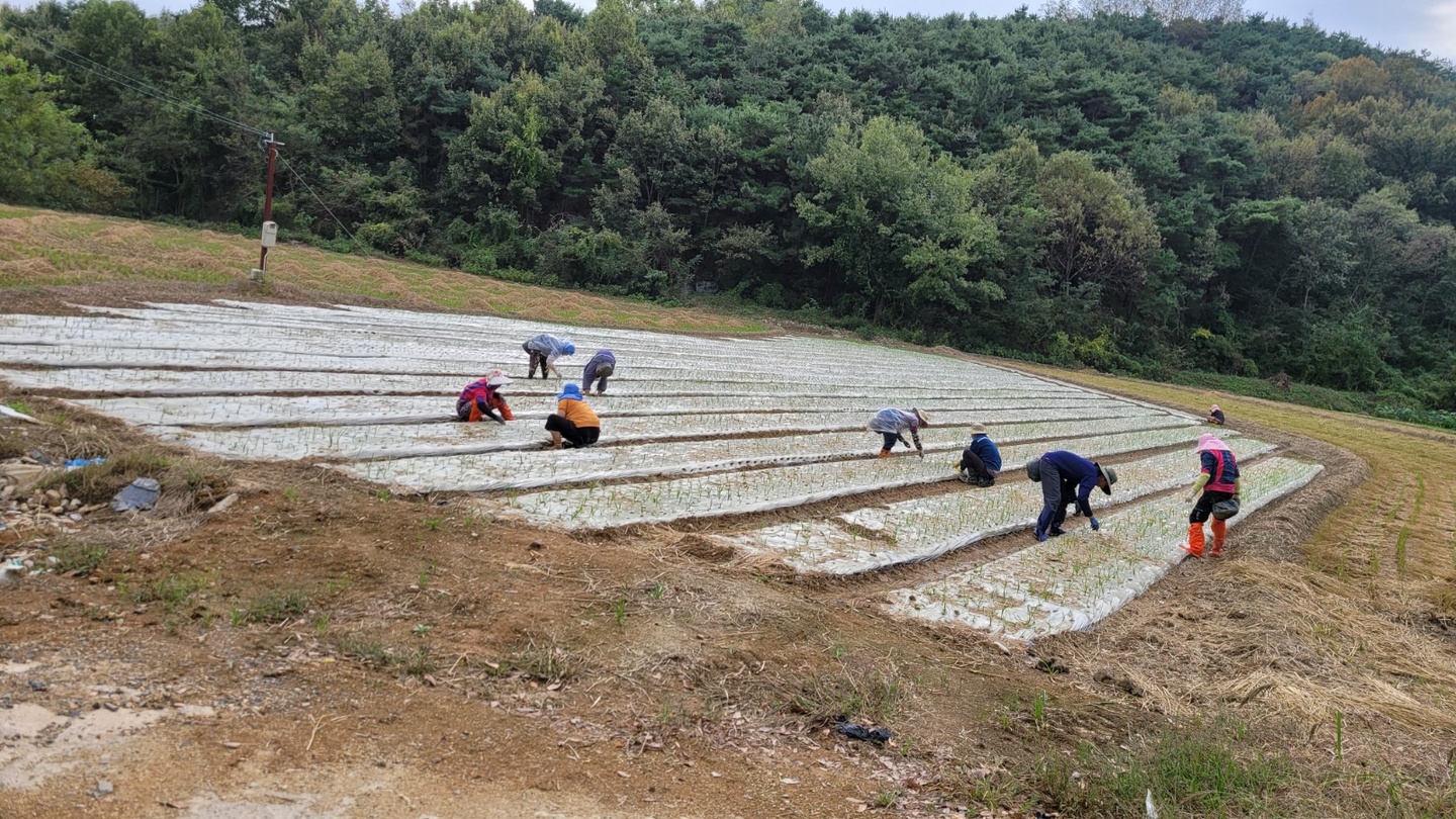 구지면 아르바이트 장소