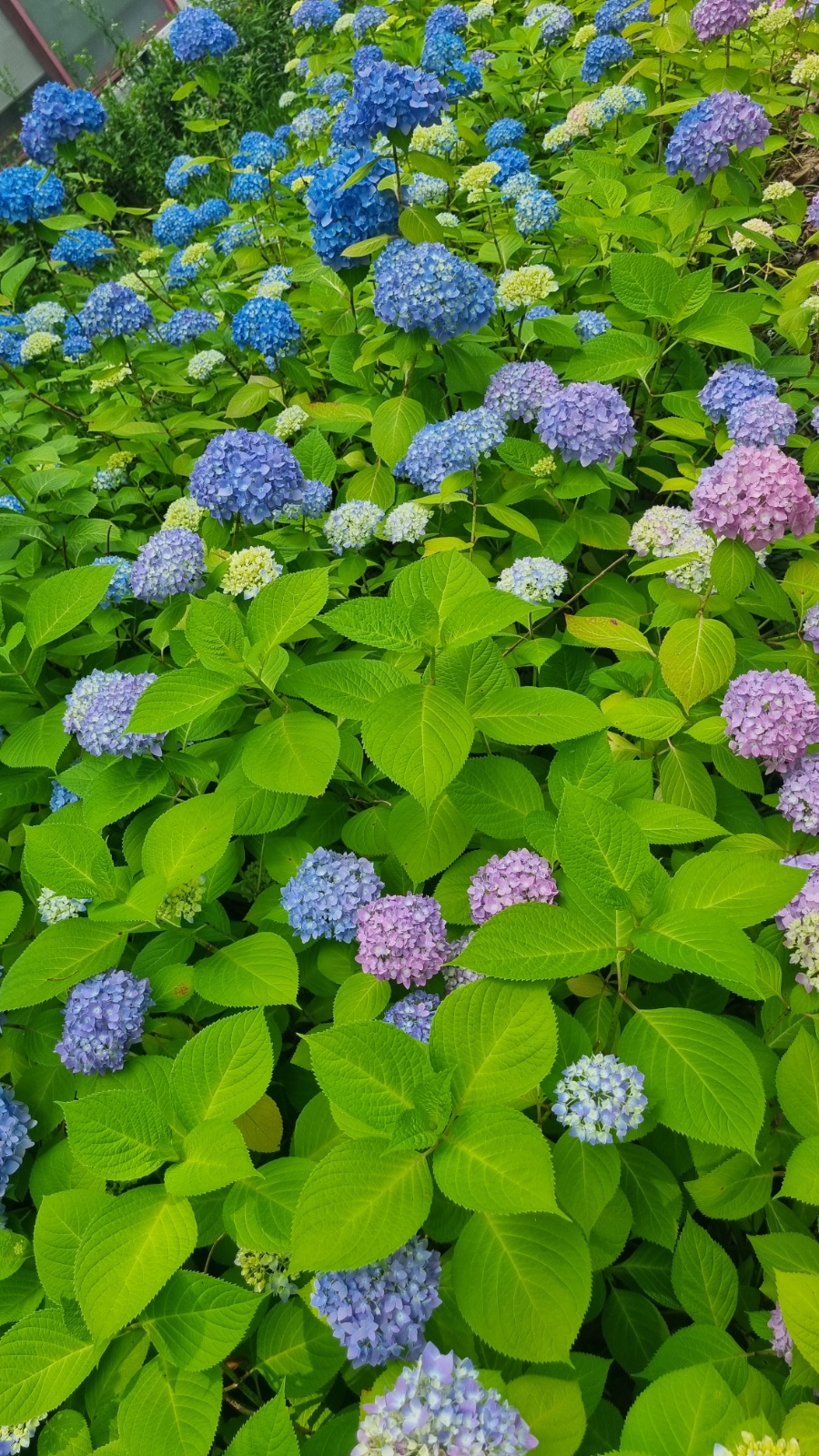 주방설거지밎보조 공고 썸네일