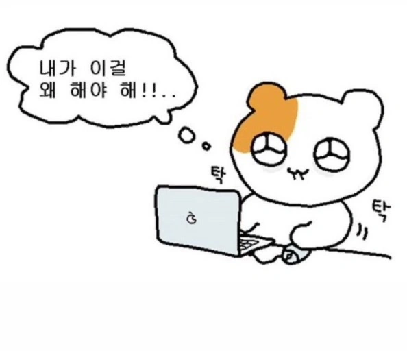조선대학교 과제 도와줄분