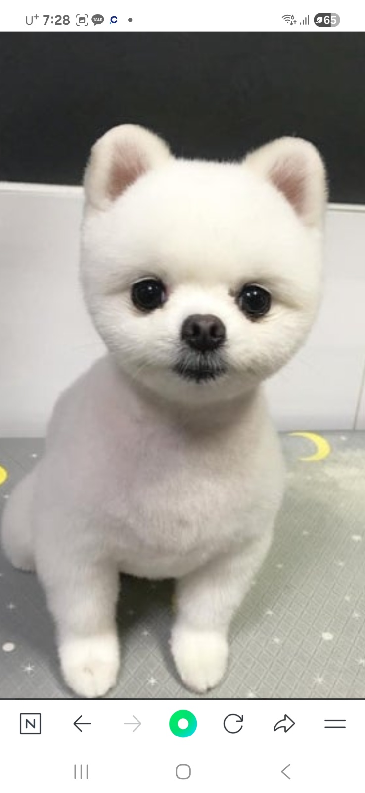카페듀몽블랑 남녀 알바모집 공고 썸네일