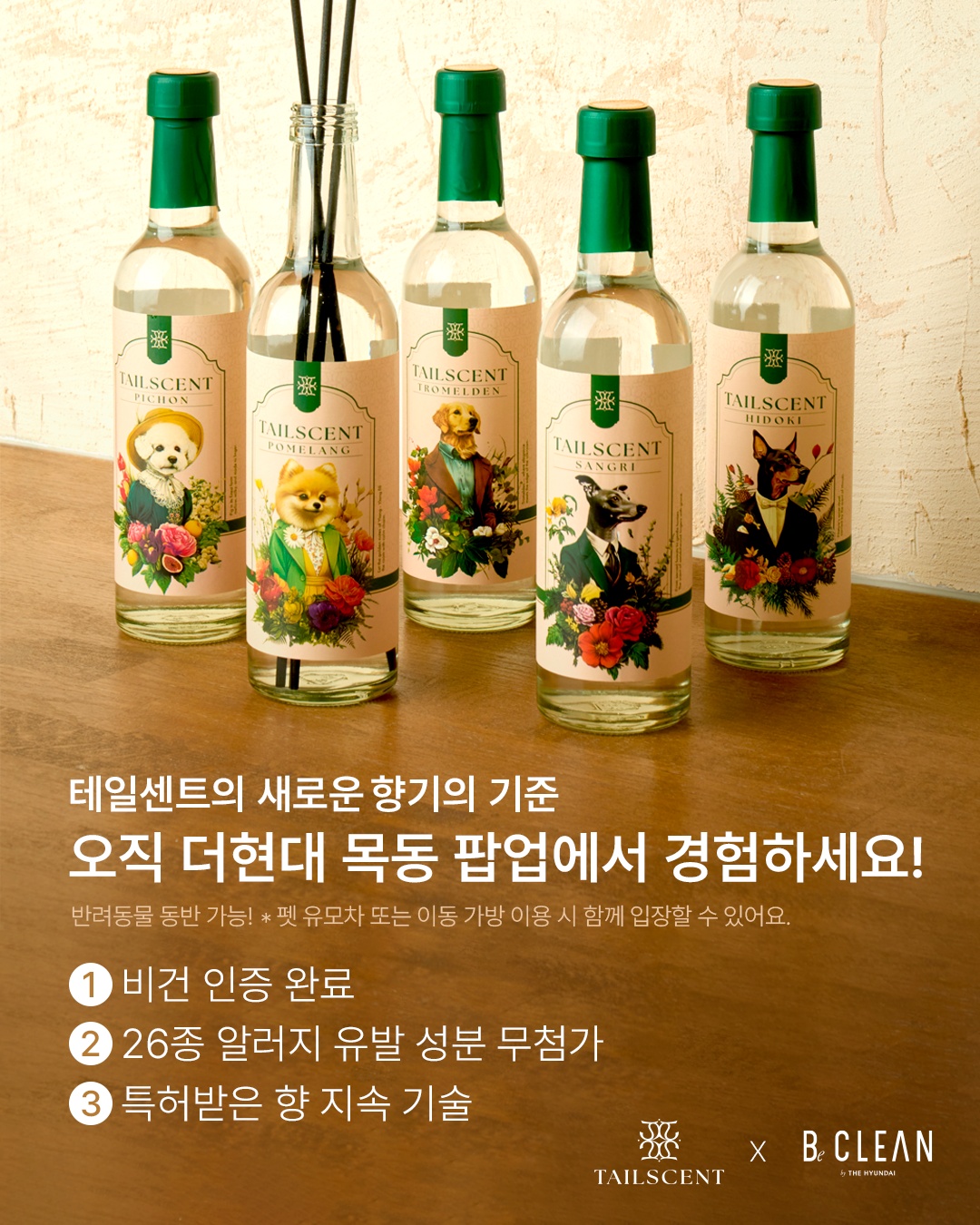 목동현대 백화점 팝업 공고 썸네일