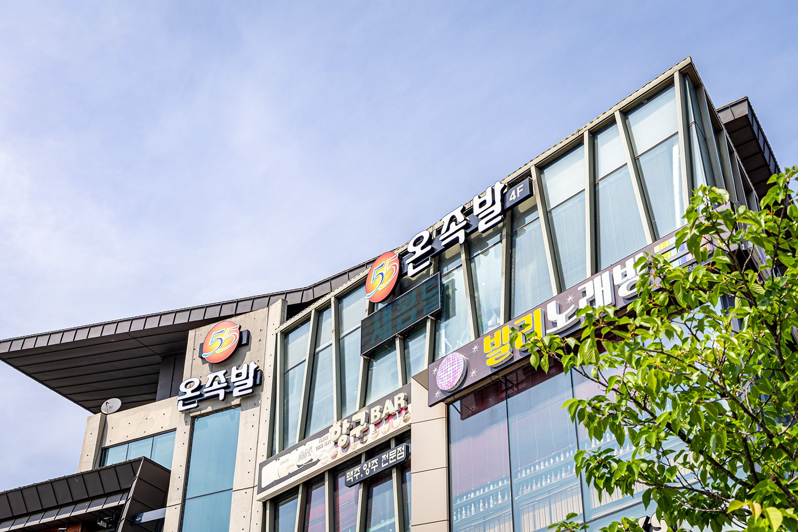 55온족발 동촌유원지점 주방/홀서빙 직원 모집 공고 썸네일