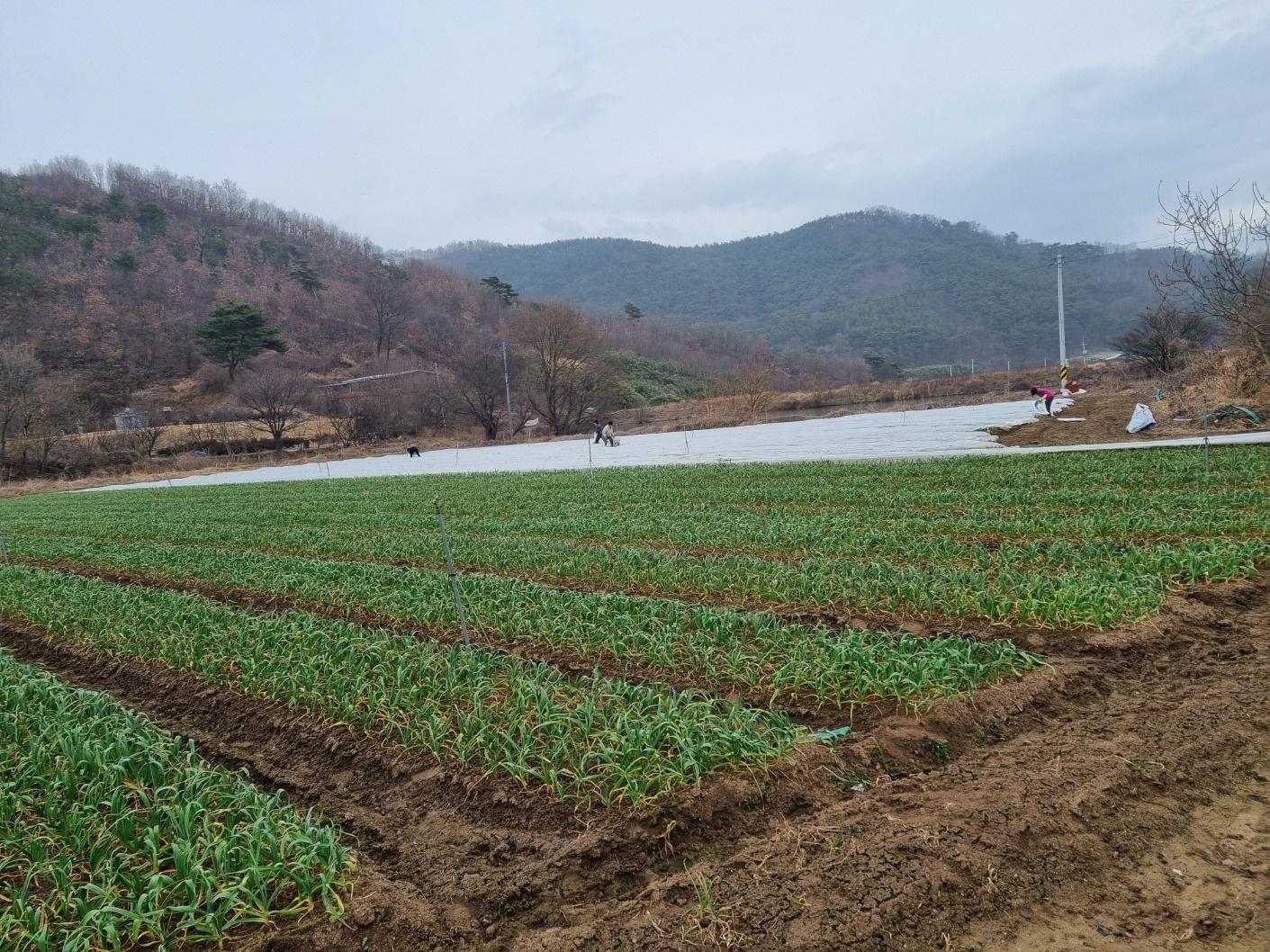 비산동 아르바이트 장소 (2)