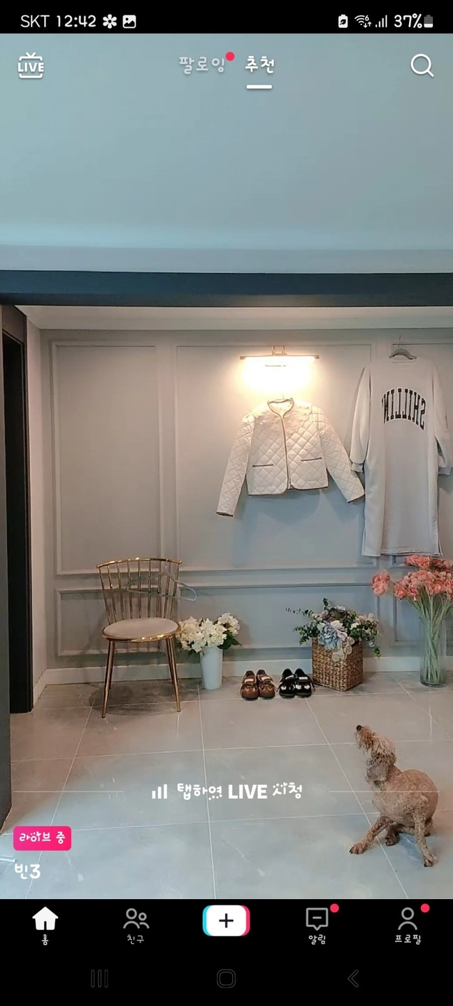 내일(27일 )오전10시부터 2~3시간 택배포장하실분