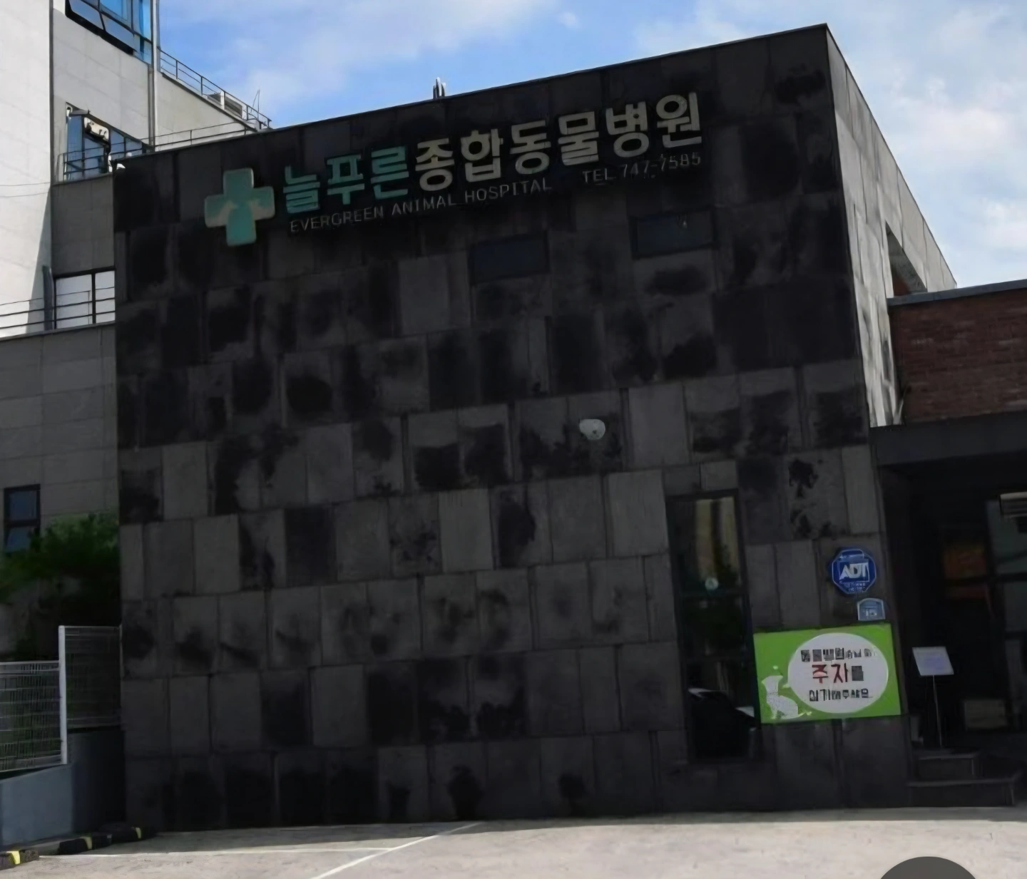 무실동 늘푸른동물병원 미화구함