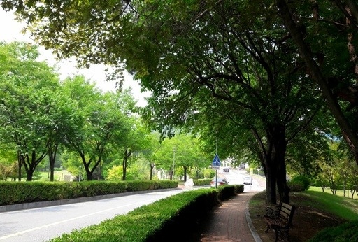 로봇코딩강사/영어보조강사 구합니다. 공고 썸네일