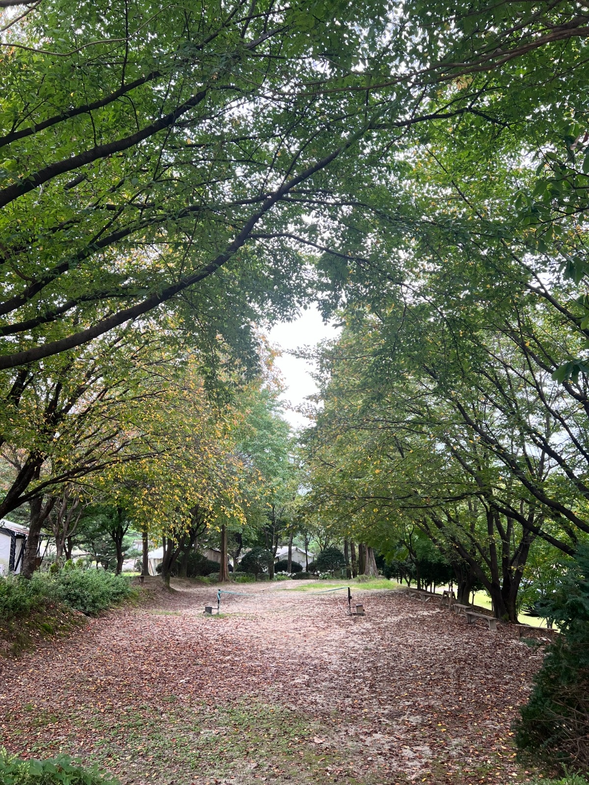 청암농원 숙소청소모집 3/5(수) 공고 썸네일