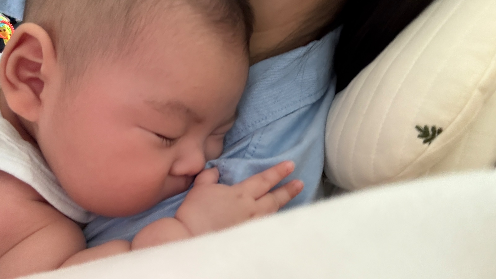 100일된 아기 시터구해요 공고 썸네일