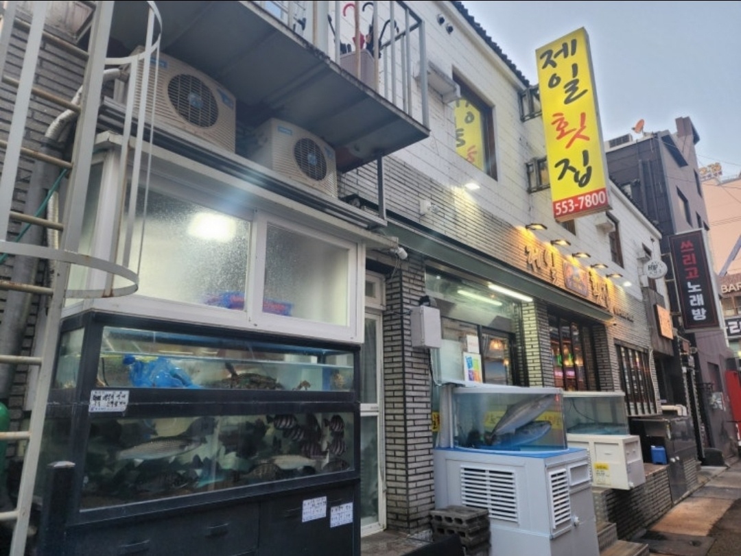 횟집 실장님 구해요(보조x) 공고 썸네일