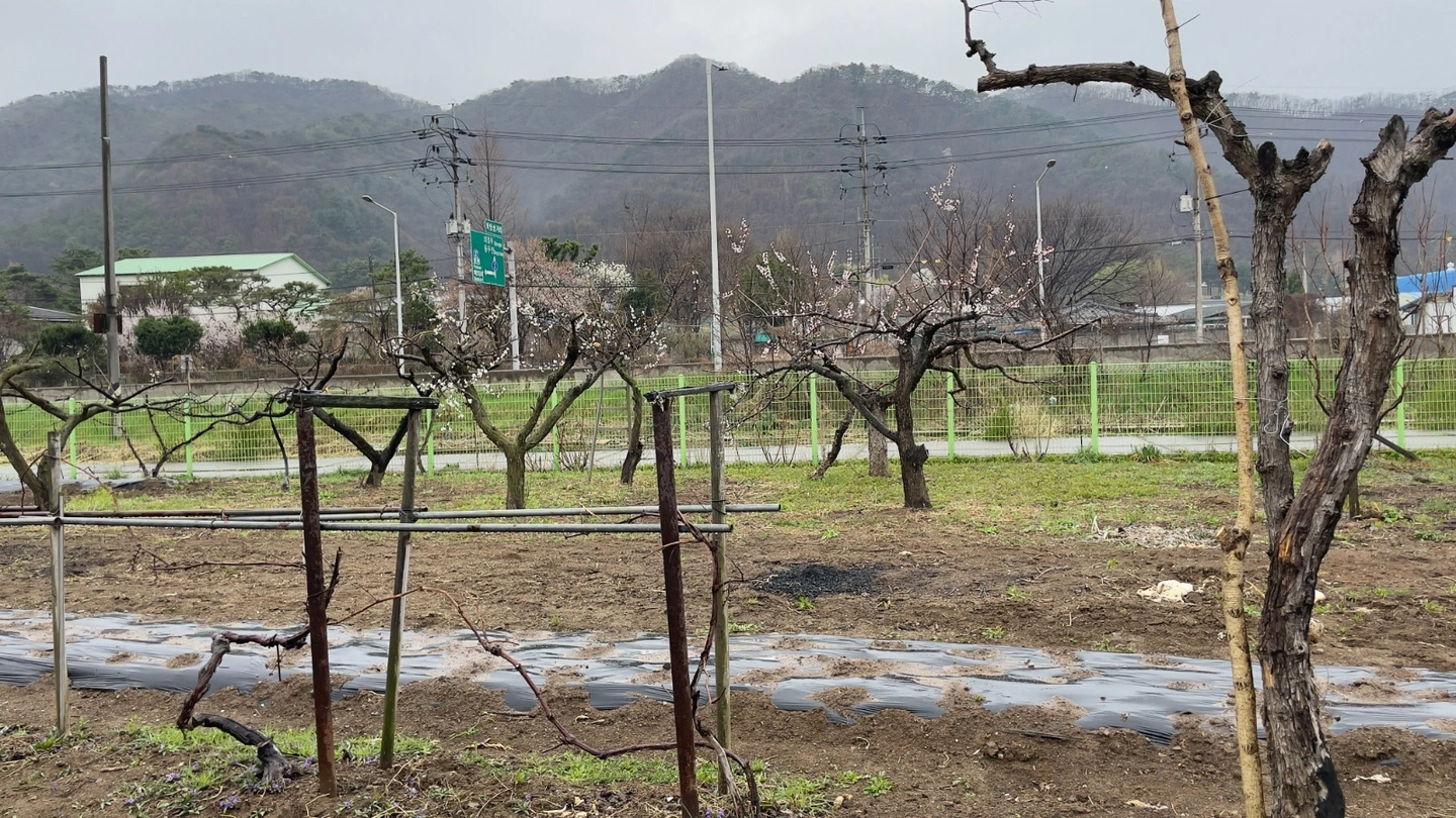 알바 구함 밭메기