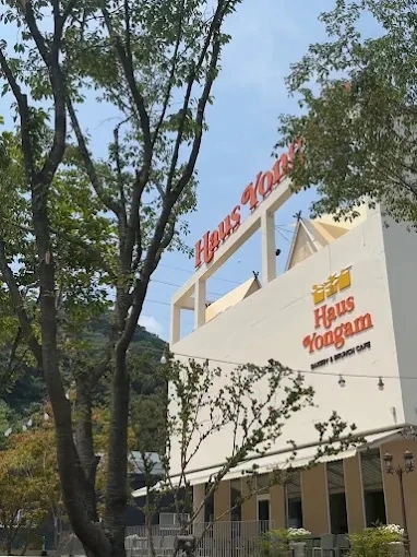 하우스용암 카페 바리스타 정직원 채용