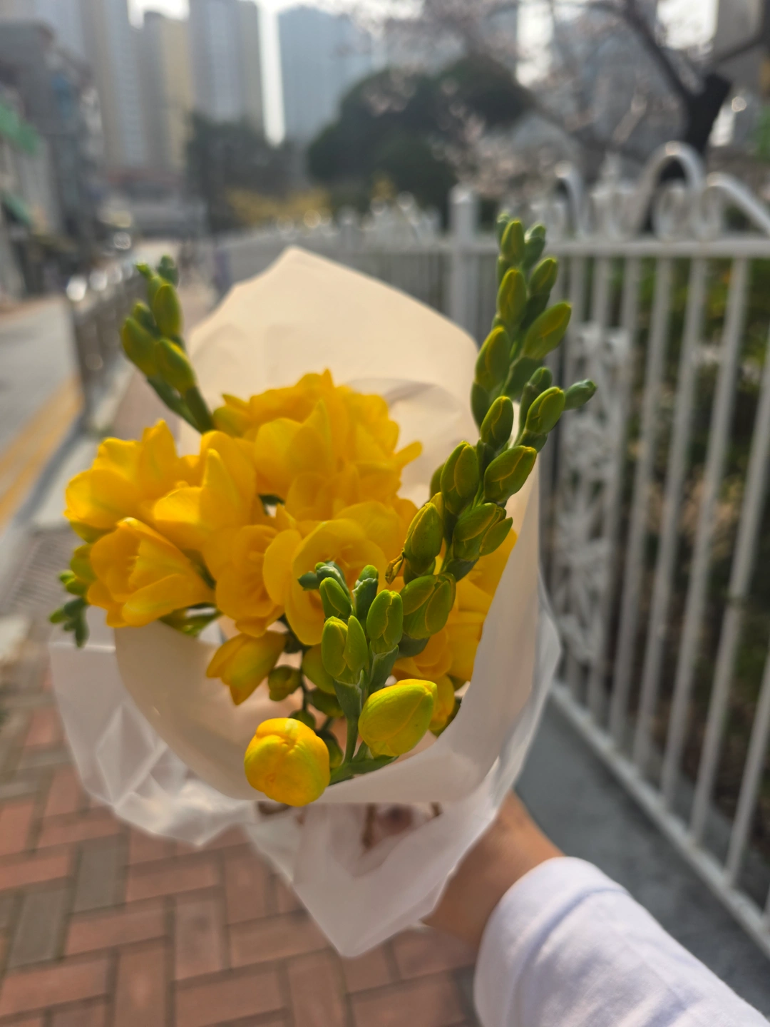요양보호사 선생님 모십니다^^