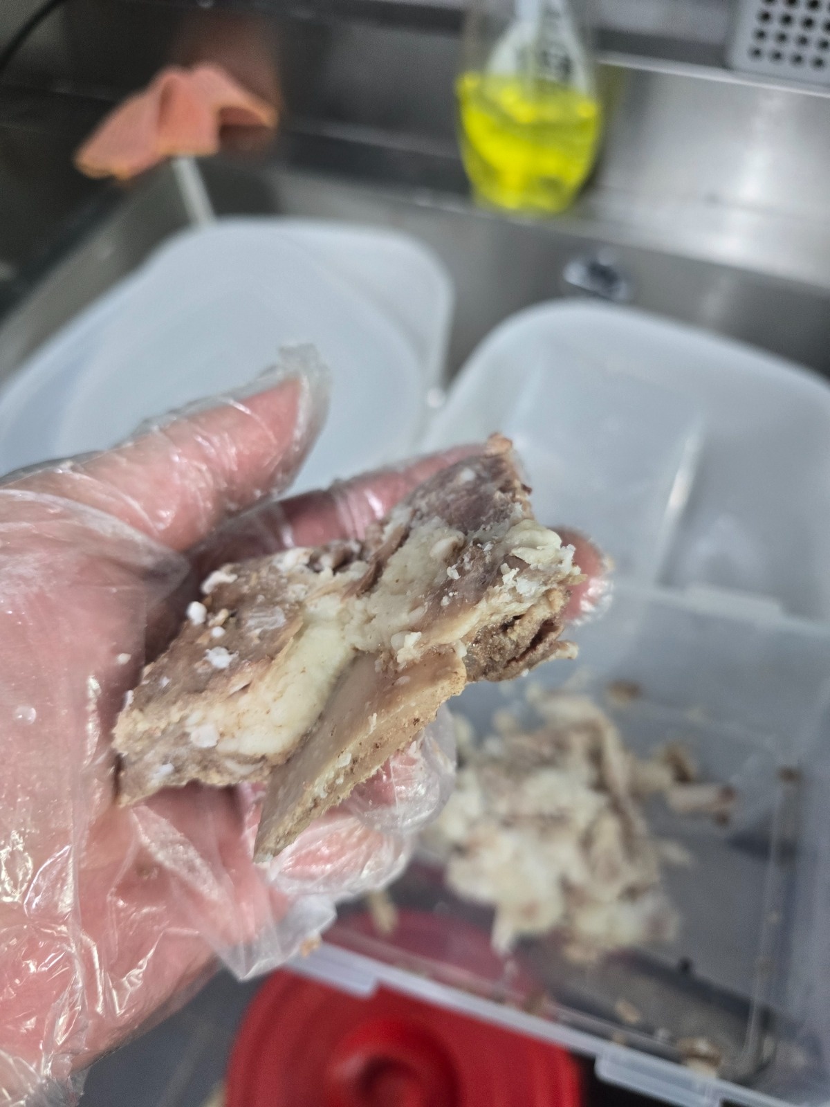 신철원식당 소갈비 기름손질 ��알바 구합니다 공고 썸네일