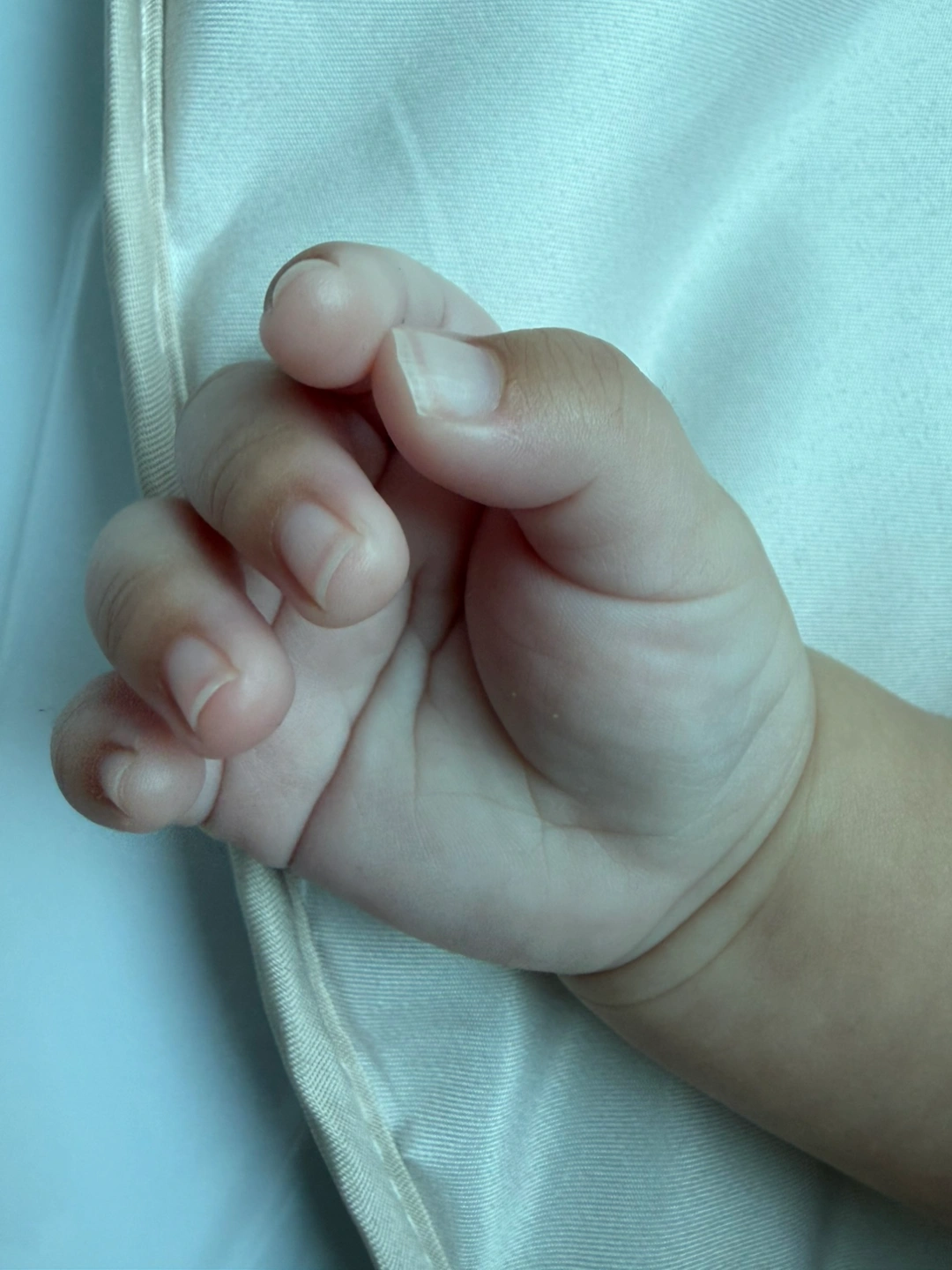 평일) 쌍둥이 남아 육아 재미있게 놀아주실분~