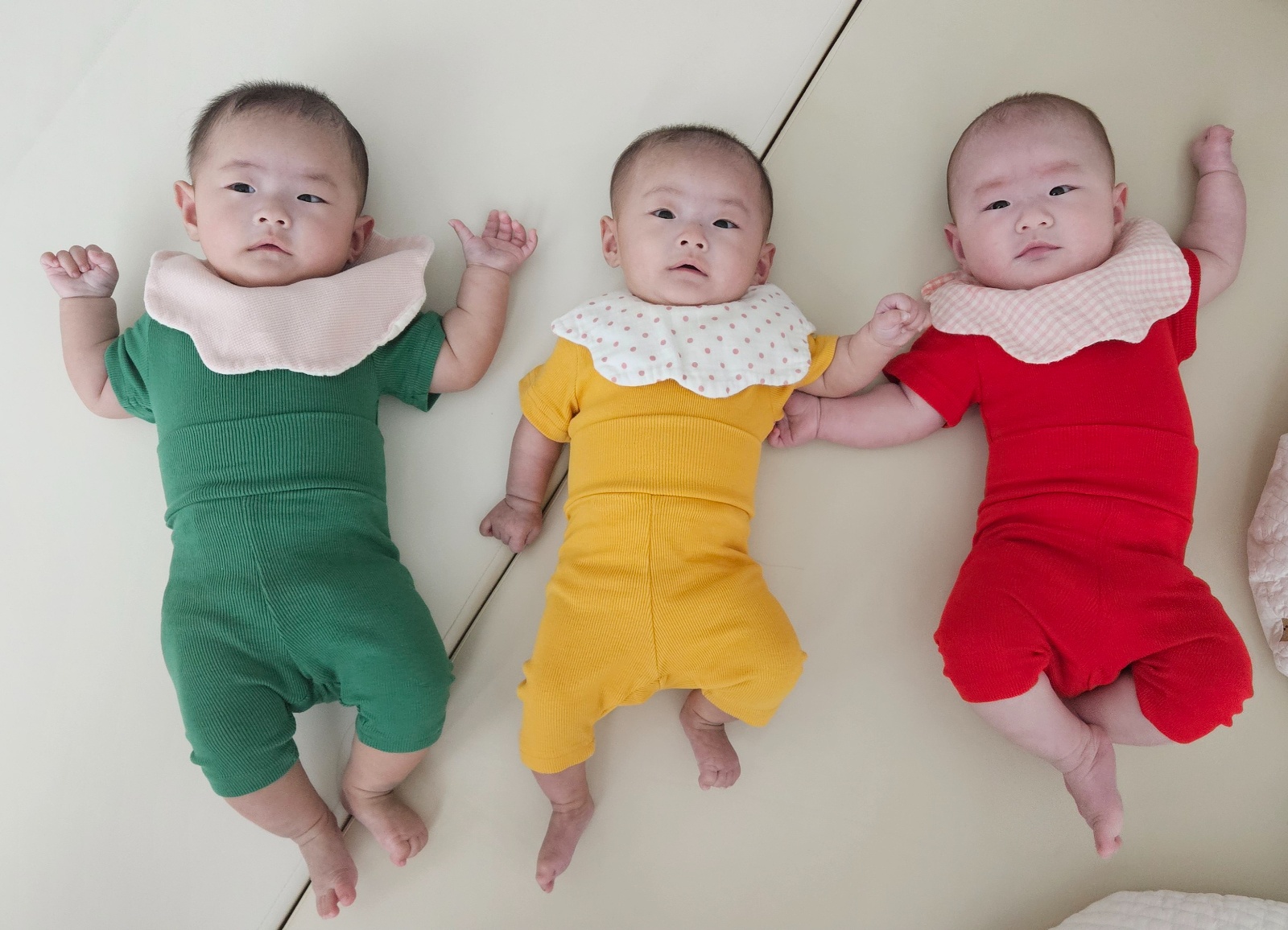 6개월 여아 세쌍둥이 돌봄 공고 썸네일