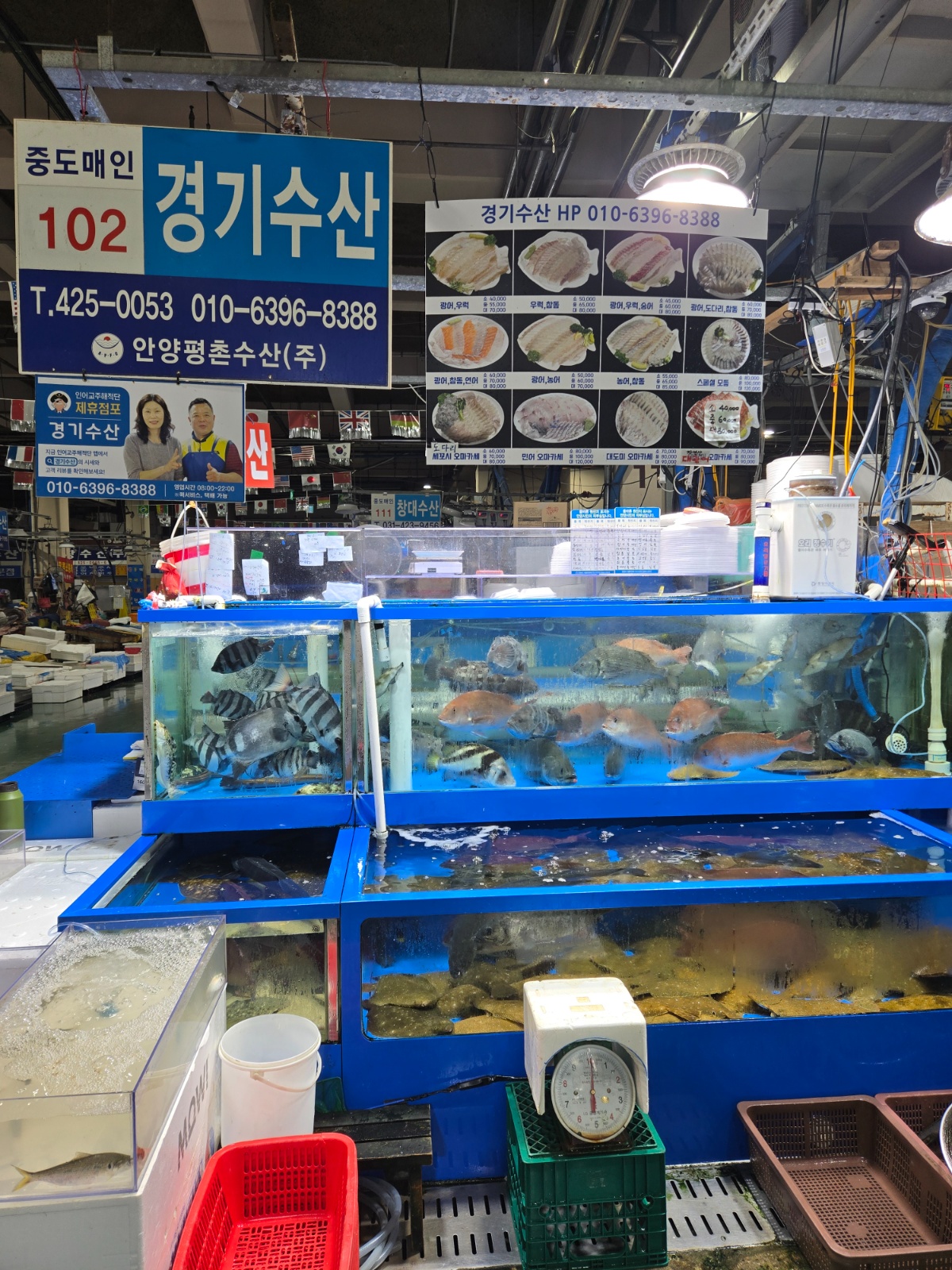 평촌농수산물시장 경기수산 공고 썸네일