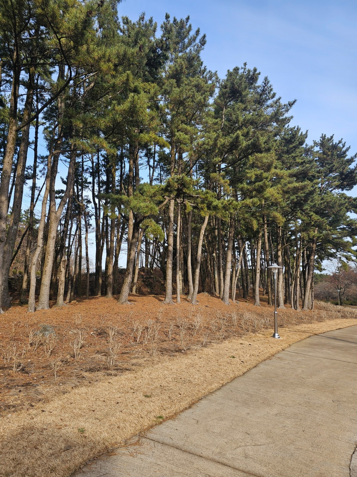 그물 놀이터 설치 해주실분 구합니다 공고 썸네일