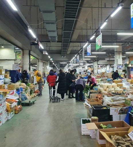 야채 분류 작업 및 배달 공고 썸네일