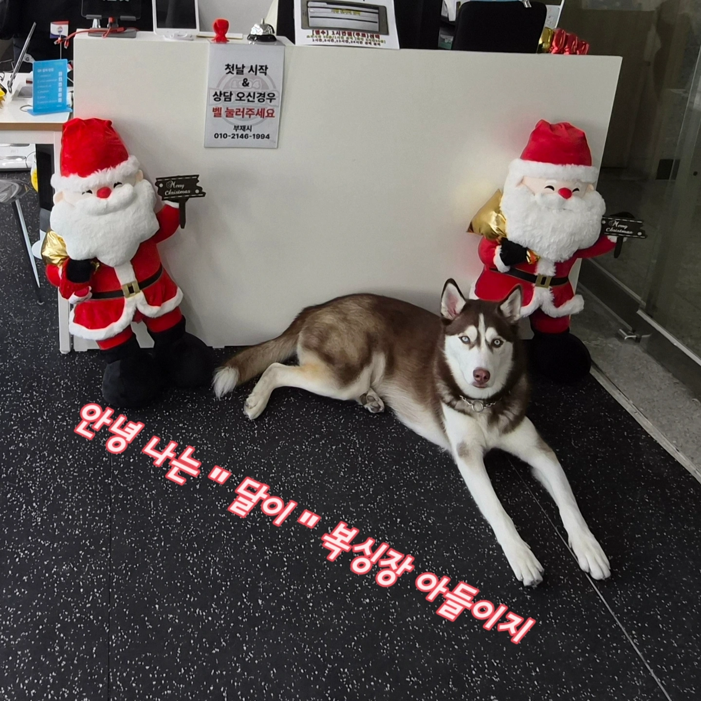 전단지 배포알바 구함