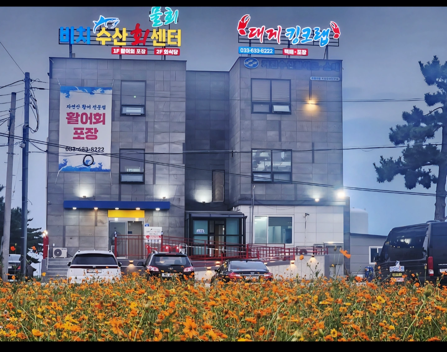 월,화,목,금 오전 알바 구합니다