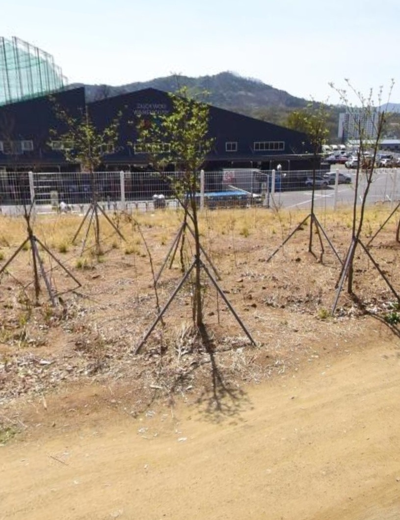 개인택배 분류도우미 아르바이트 구합니다 2시간 오전근무 공고 썸네일