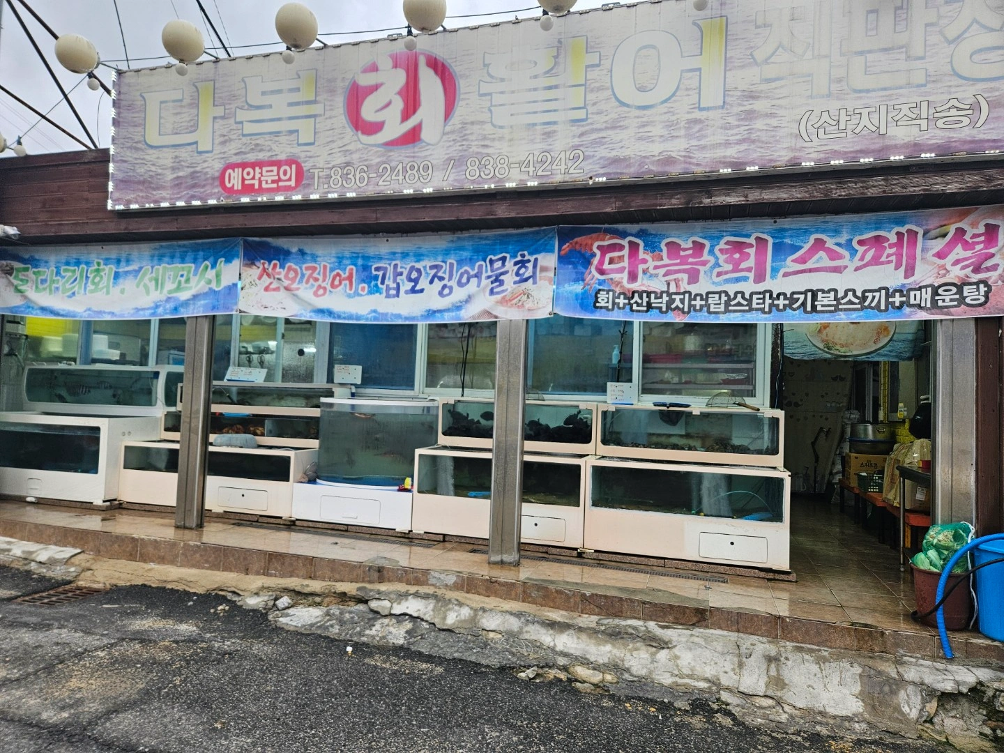 홀써빙 횟집
