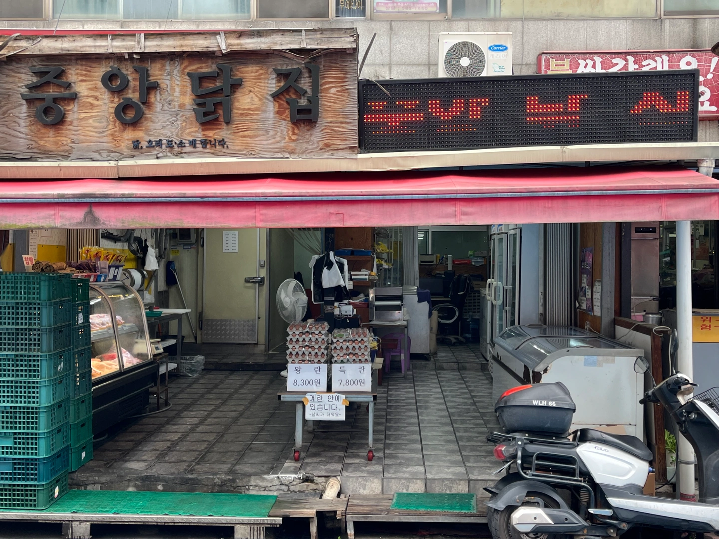 밝고 성실한 남,여 닭 판매원 구합니다~