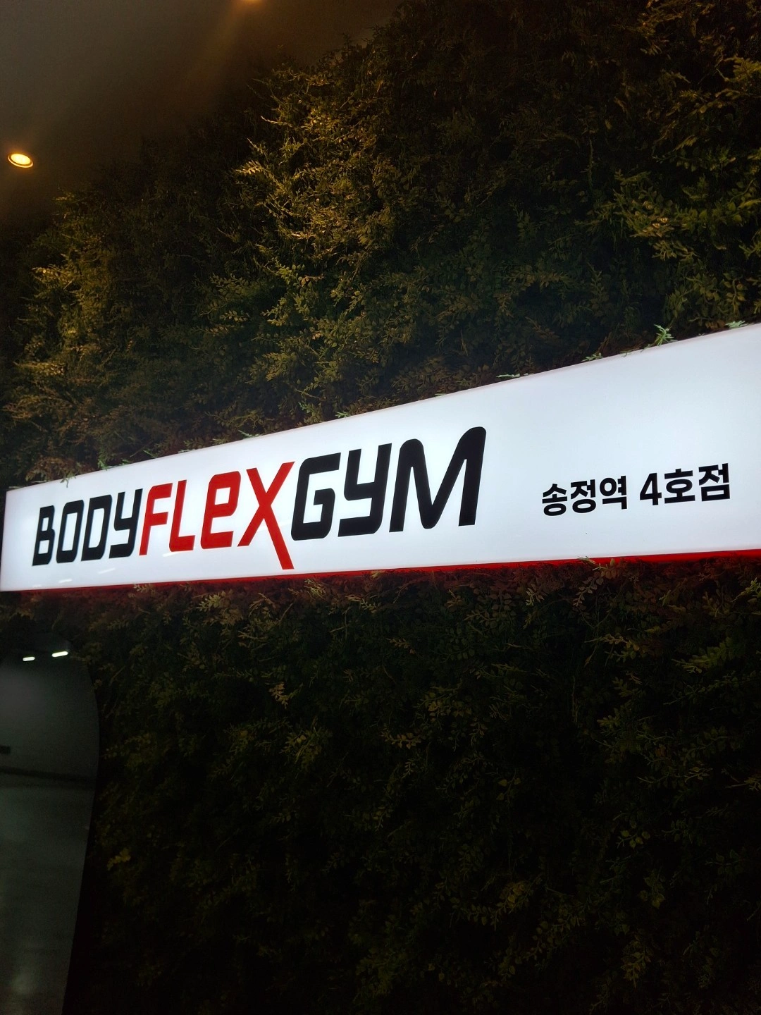 바디플랙스짐 송정역점 인포 구합니다 ~