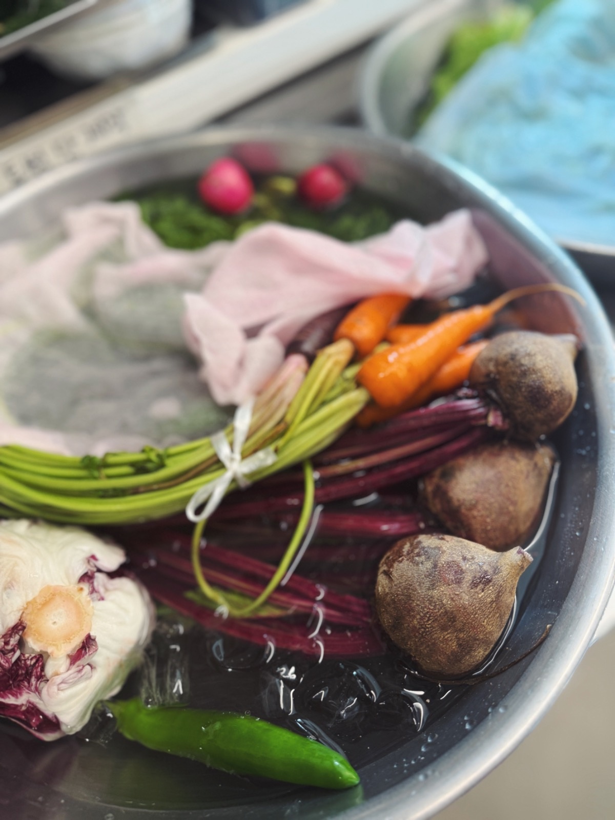 릴스촬영, 인스타그램 관리업무 공고 썸네일