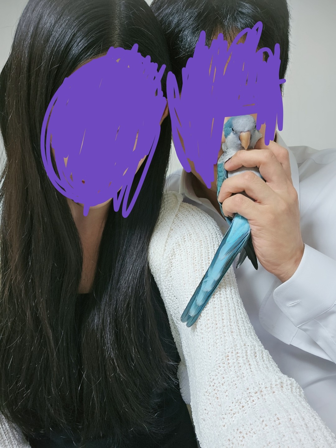 자연스러운 사진보정 공고 썸네일