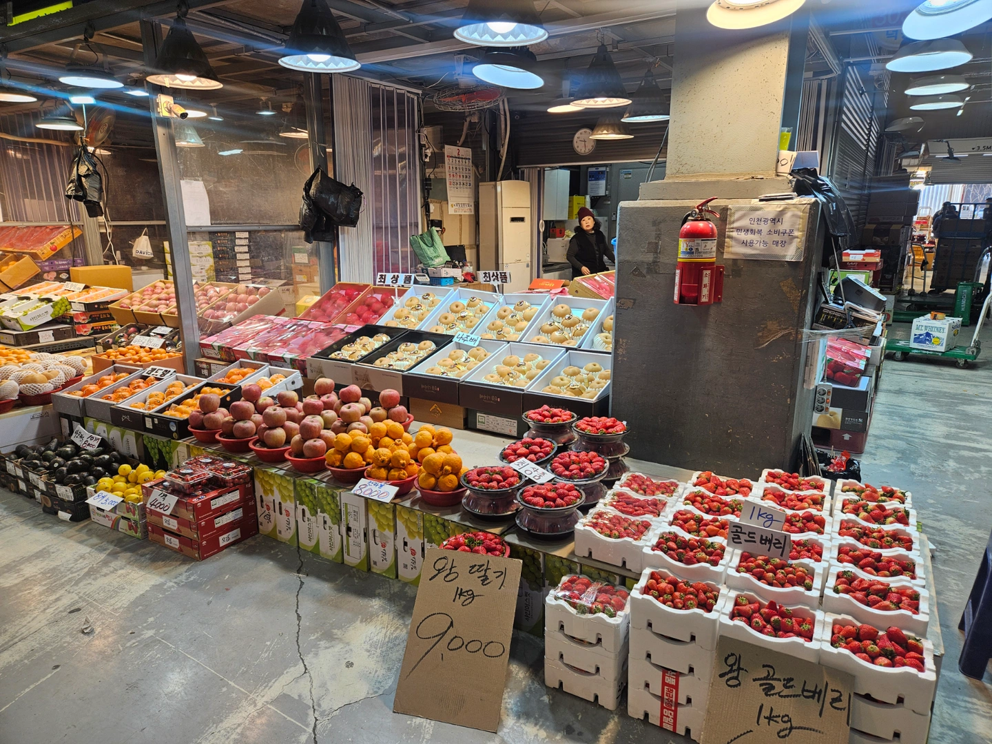 남촌동 도매시장 과일동 직원 구해요