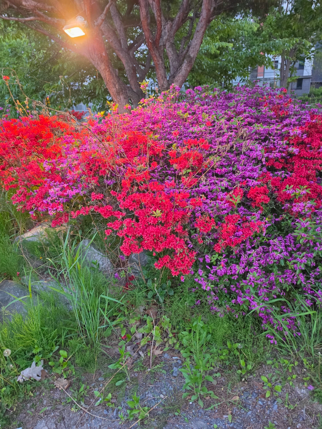 계단청소 직원모집