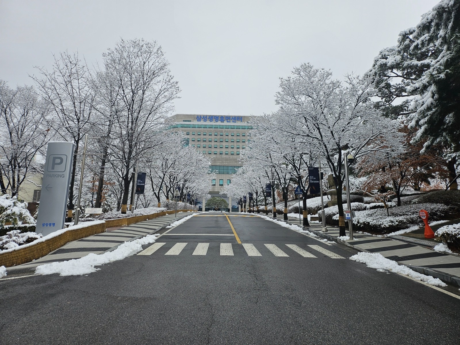 보정동 삼성생명 휴먼센터 보안팀 모집중 공고 썸네일