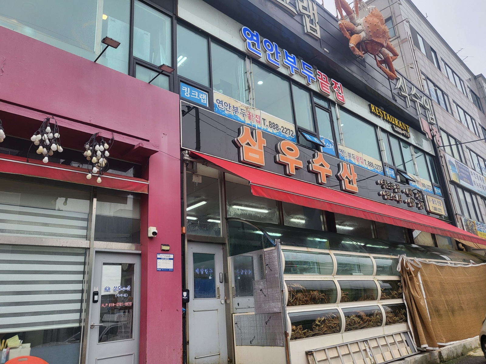 수산물 수조관리 및 매장관리직원 채용합니다 ! 공고 썸네일